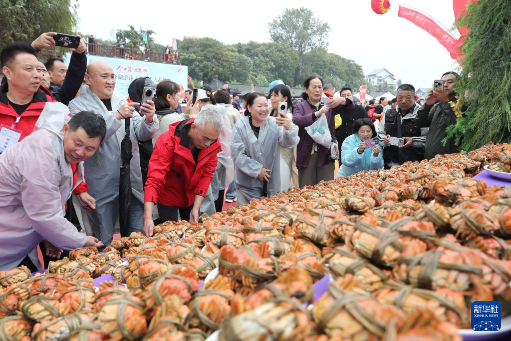 36365线路检测中心相关图片